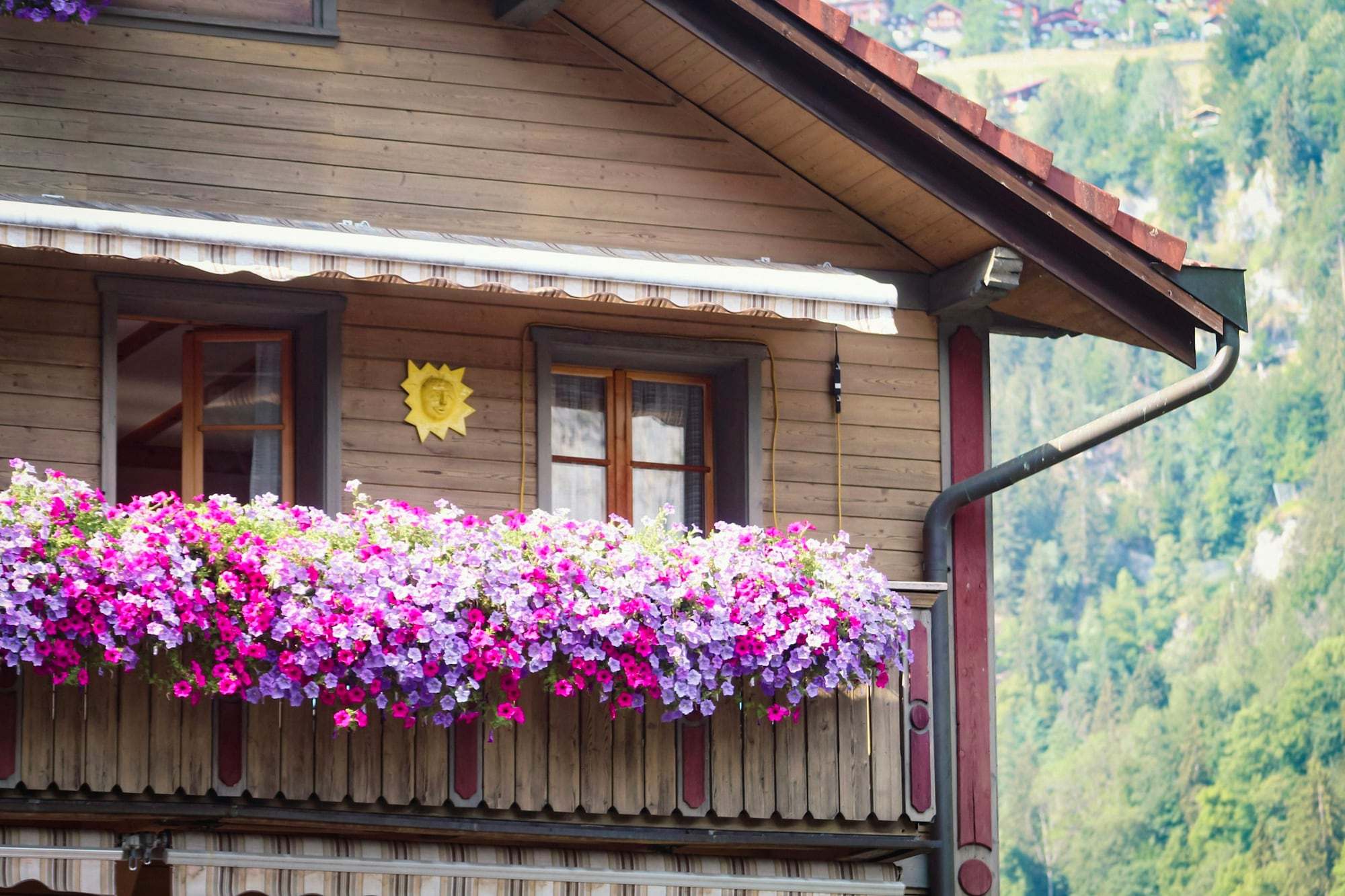 Balcon en bois fleuri